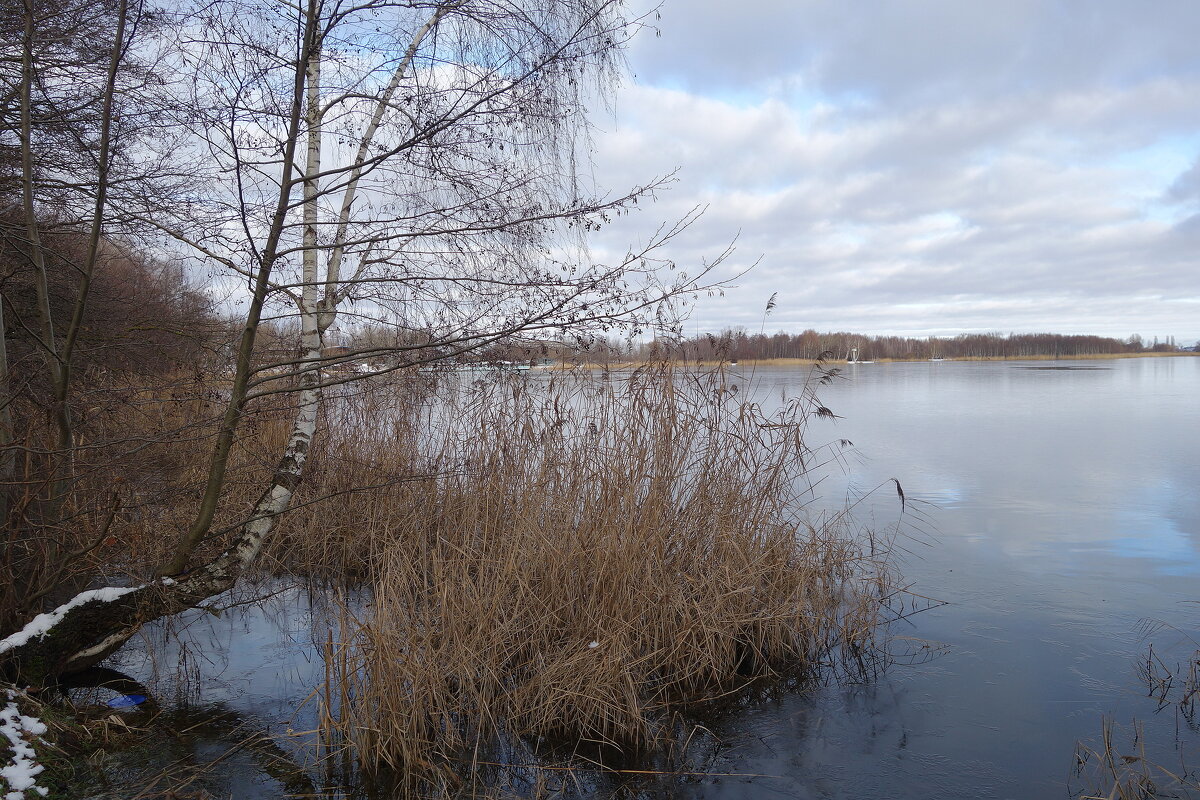 Январь, окрестности Калининграда - Рита Симонова