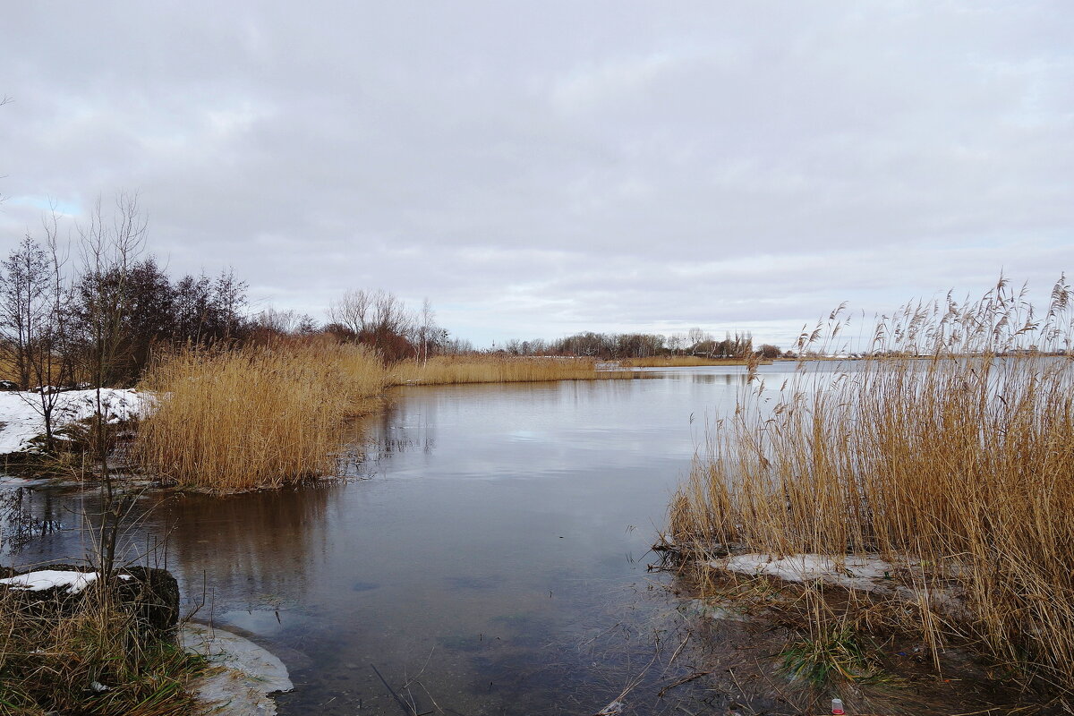 Январь, окрестности Калининграда - Рита Симонова Январь, окрестности Калининграда - Рита Симонова