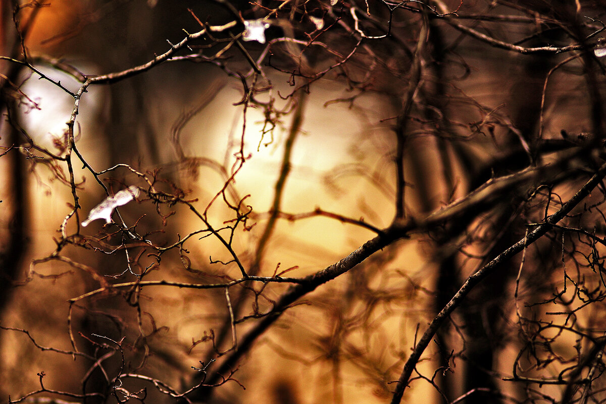 Снег растаял - Юрий Гайворонскiий Снег растаял - Юрий Гайворонскiий