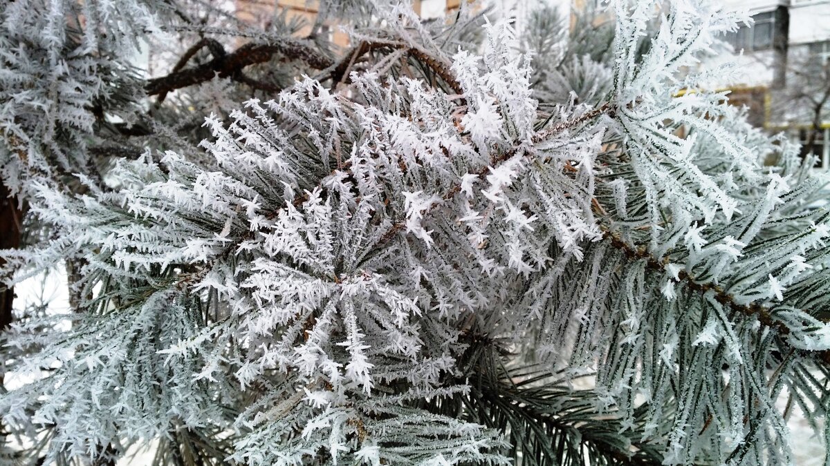 ,,, - Сергей Тимоновский