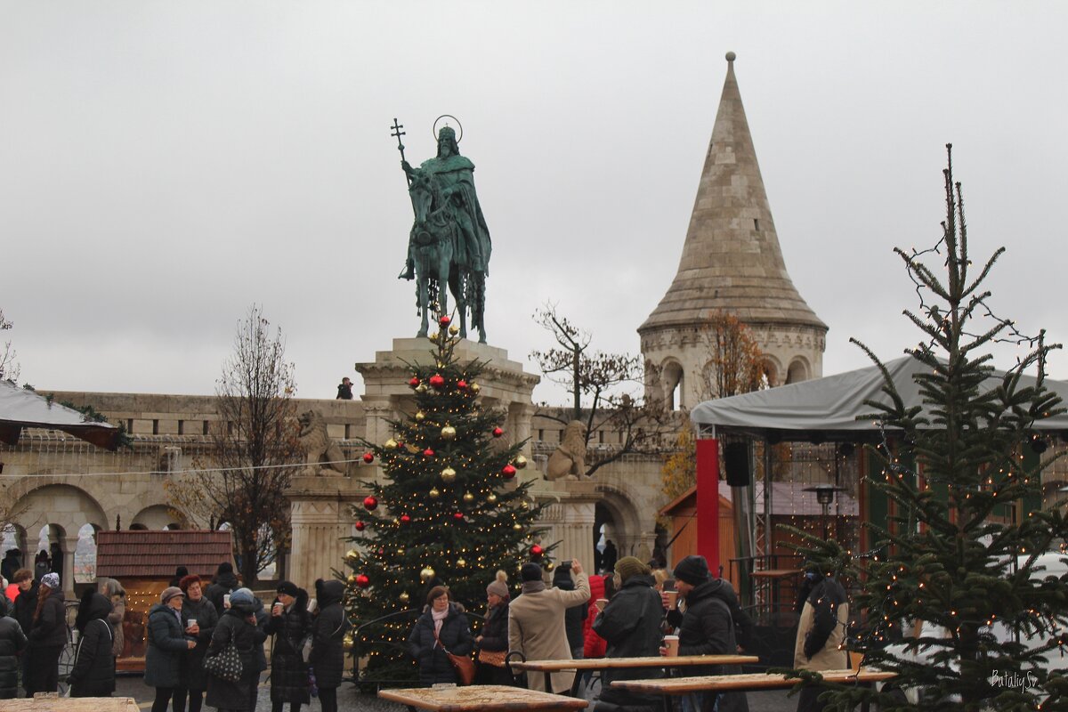 Первый король Венгрии-святой Иштван - Светлана Баталий