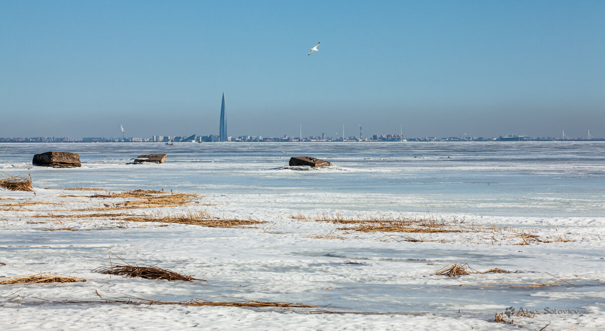 **** - Алексей Соловьев