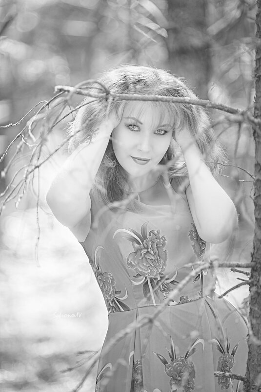 Лесные истории - Джованни Луче Лесные истории - Джованни Луче