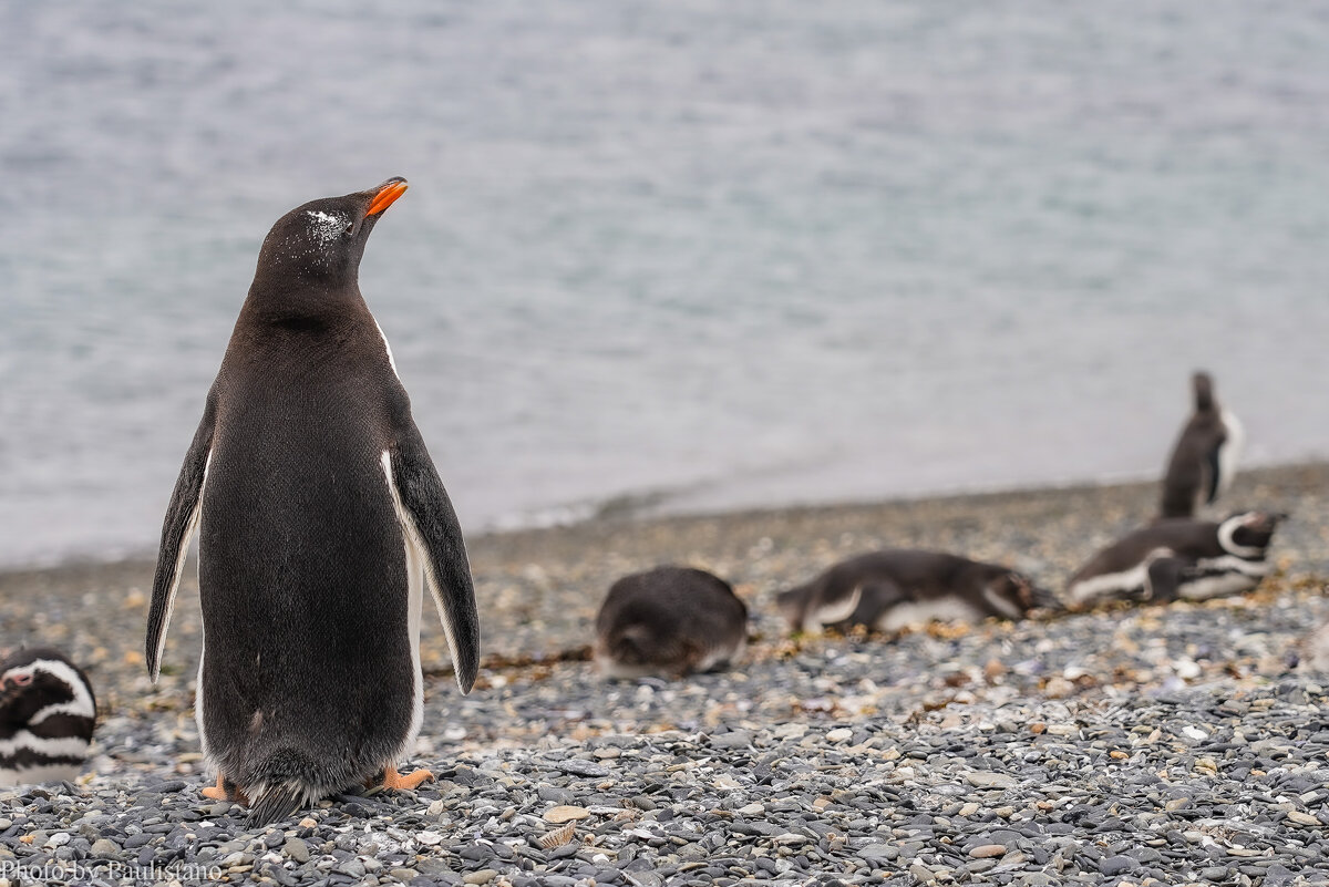 На страже... - Владимир Жданов