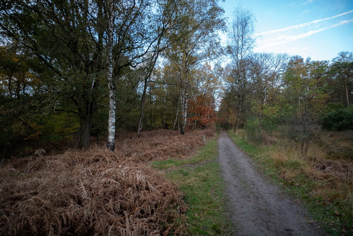 Вечерело... - Николай Гирш Вечерело... - Николай Гирш