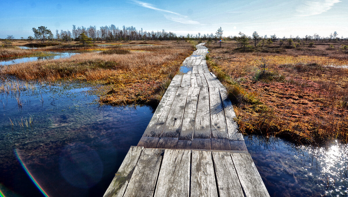 Дорожка - Виктор Журбенков