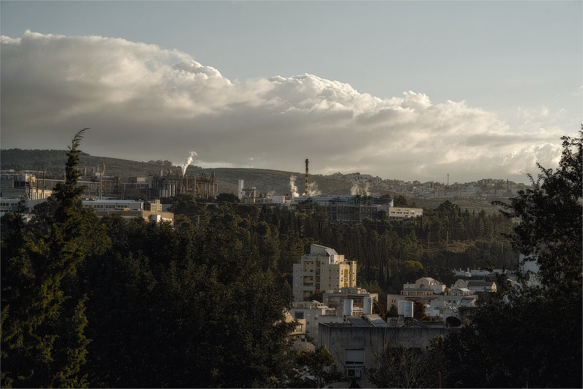 Мигдаль аЭмек ,2024г ФРАГМЕНТ - ujgcvbif 