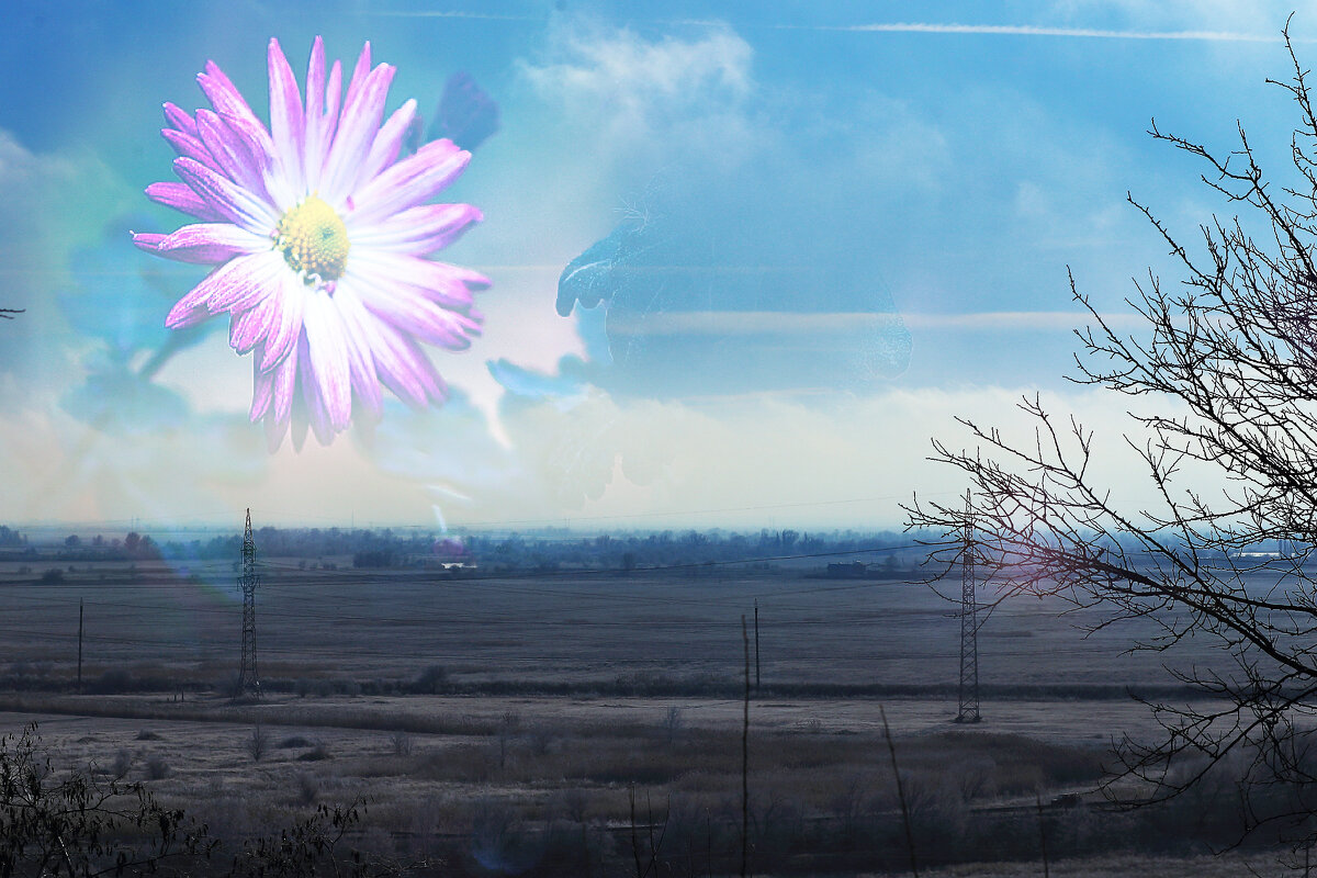 Цветы вместо Солнца - Юрий Гайворонскiий Цветы вместо Солнца - Юрий Гайворонскiий