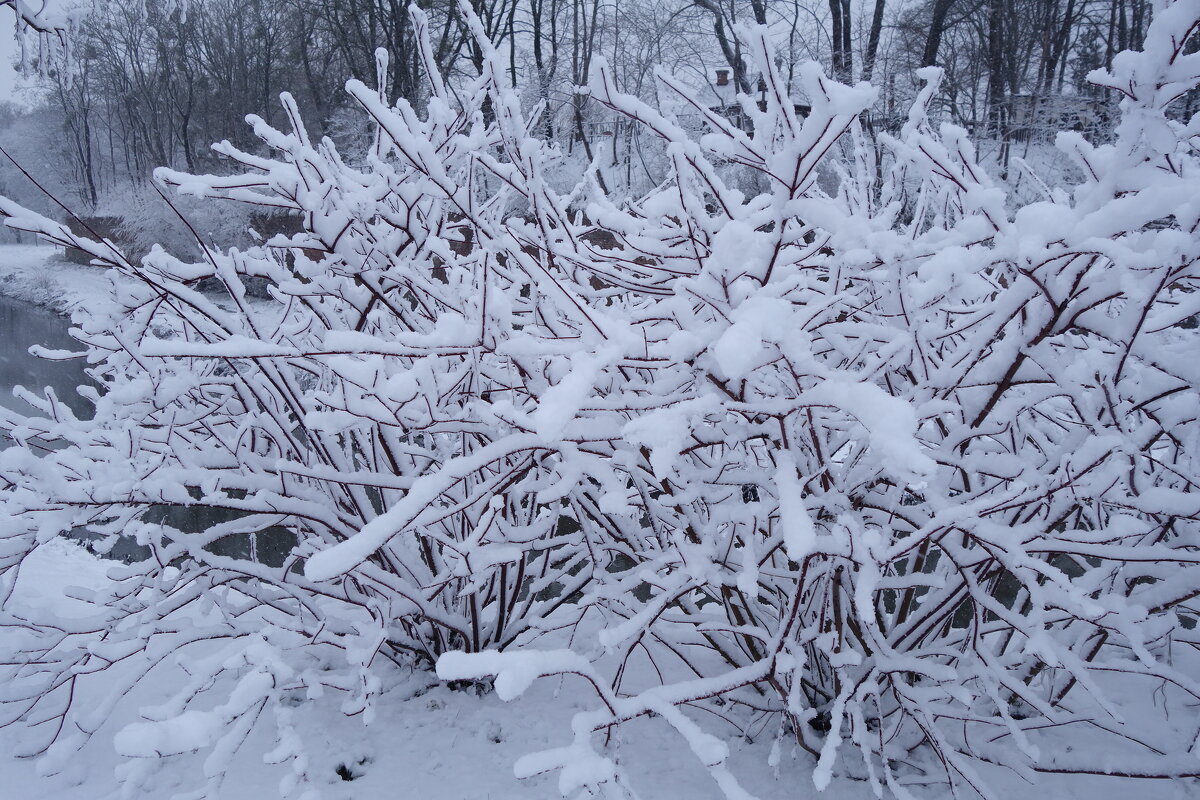 Январь - Рита Симонова Январь - Рита Симонова