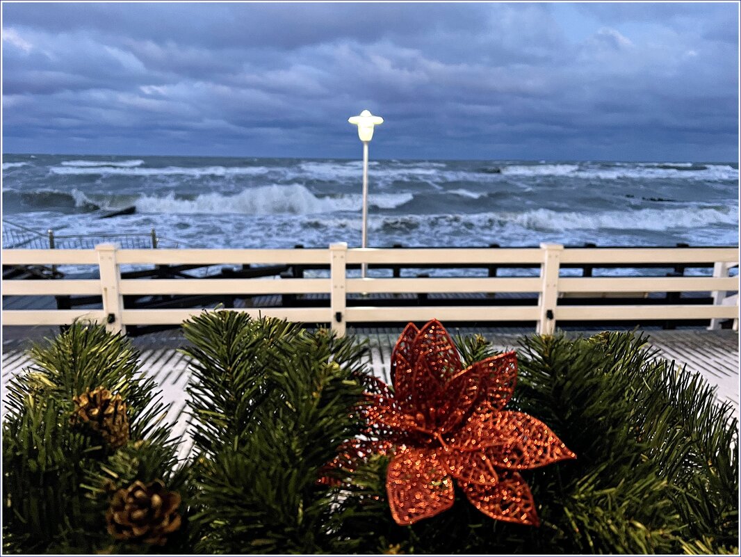 Зеленоградск, Вид на море от отеля. - Валерия Комова Зеленоградск, Вид на море от отеля. - Валерия Комова