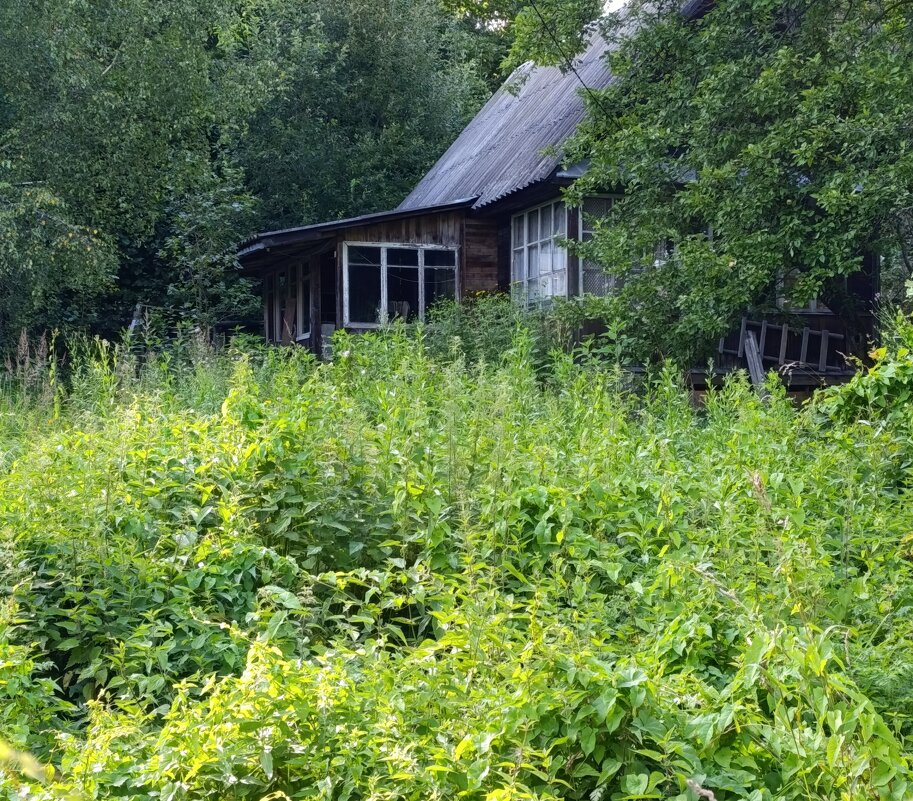 дачное - tatiana 