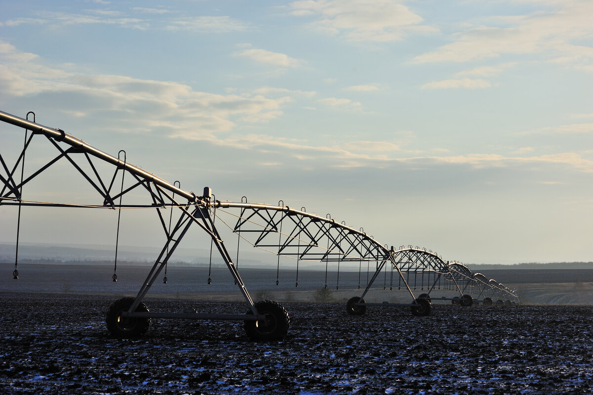 Утро января - Виктор Берёзкин