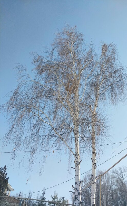 Talgar. - Murat Bukaev 