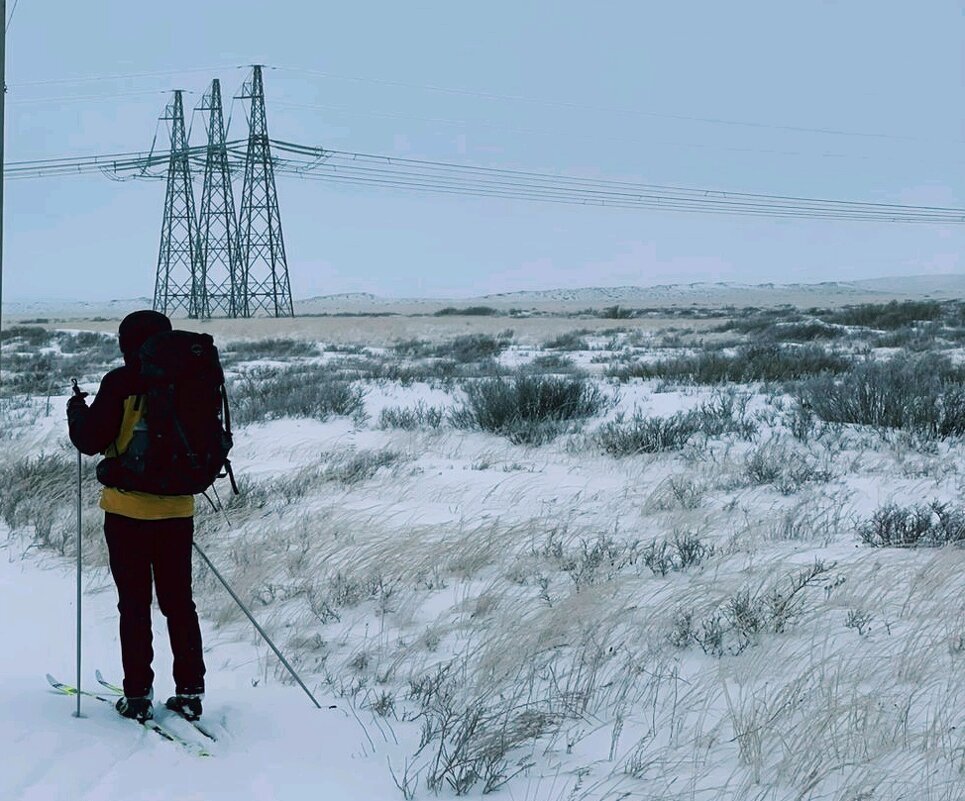 Уходим в снежную пелену - Георгиевич Уходим в снежную пелену - Георгиевич