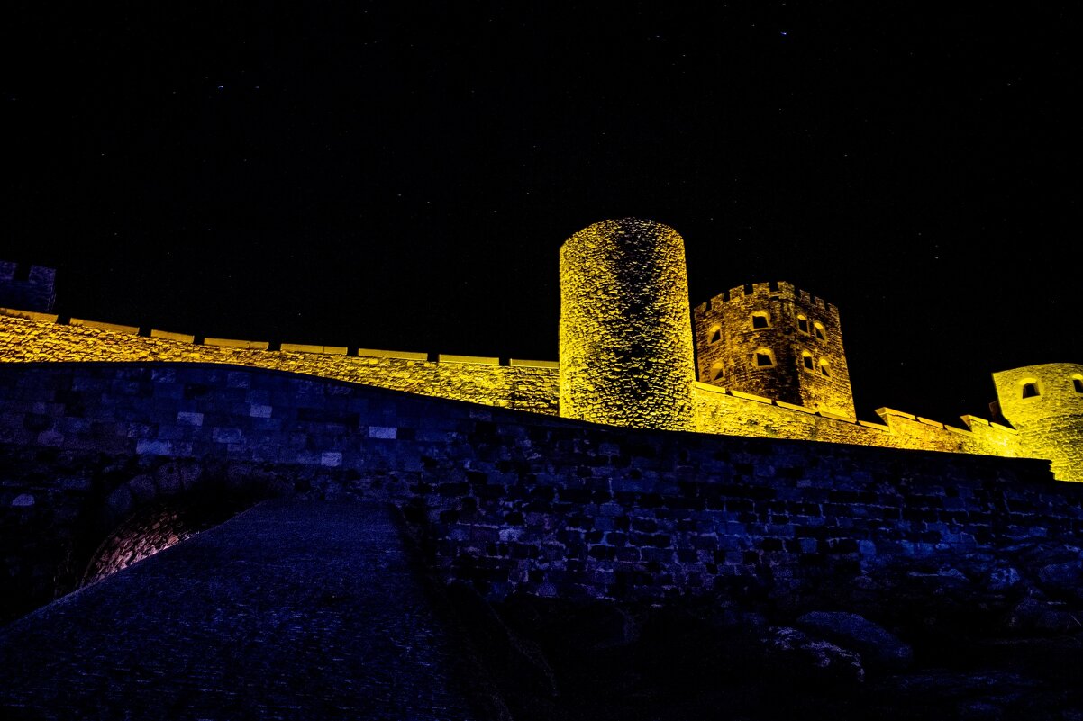 Крепость в ночи. - Виктор Истомин