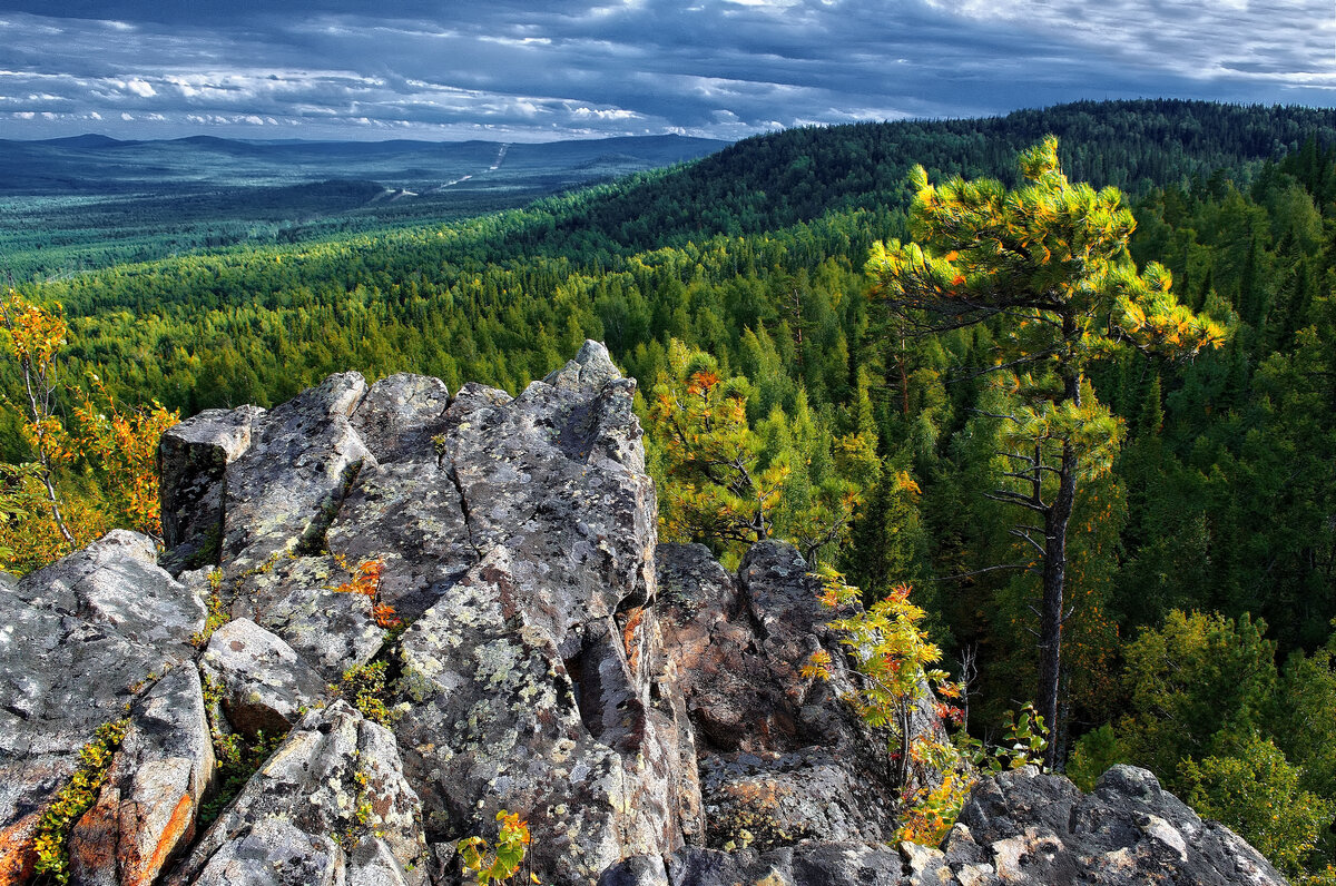 Дали без края. - Юрий кот Дали без края. - Юрий кот