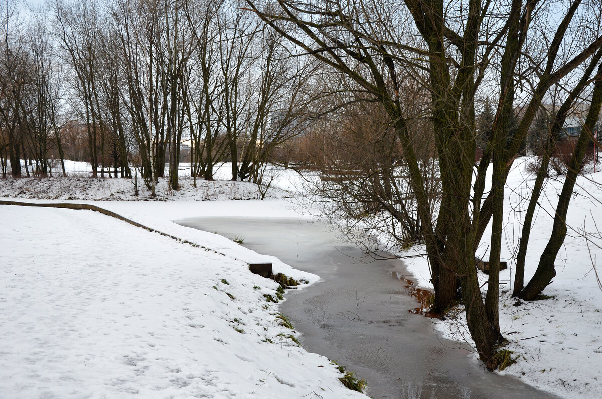 Январь, в парке. - Наташа ***** Январь, в парке. - Наташа *****