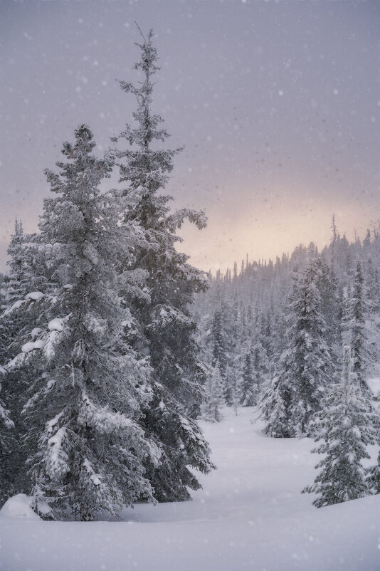 * - Александр Иванов