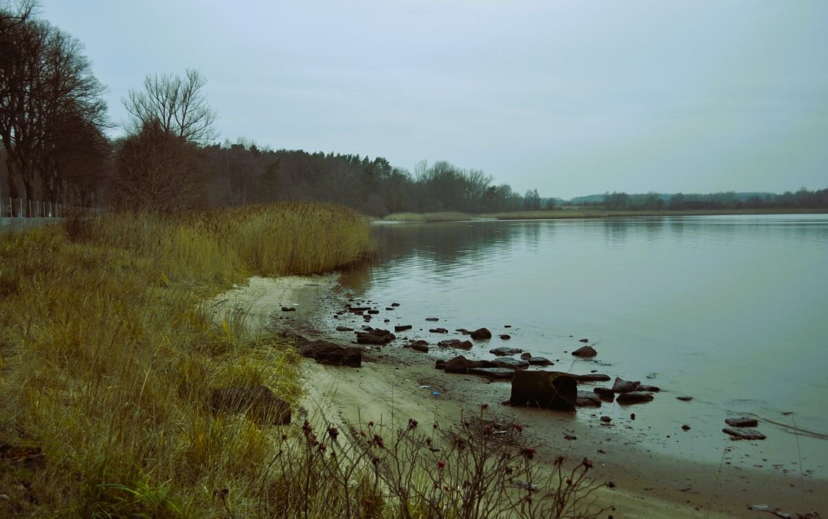 Тихое утро - Галина Шеина-Мюльдорфер