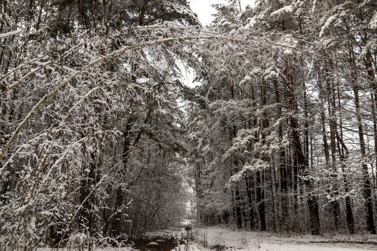 .. - оксана .. - оксана