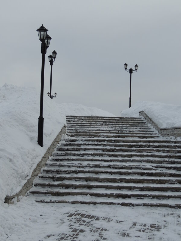 Владимир - Николай ntv