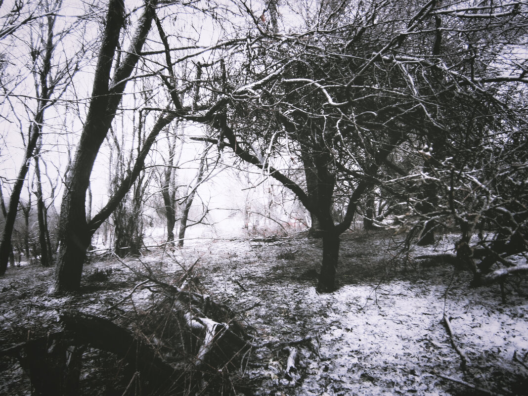 По старым местам - Sergei Vikulov По старым местам - Sergei Vikulov