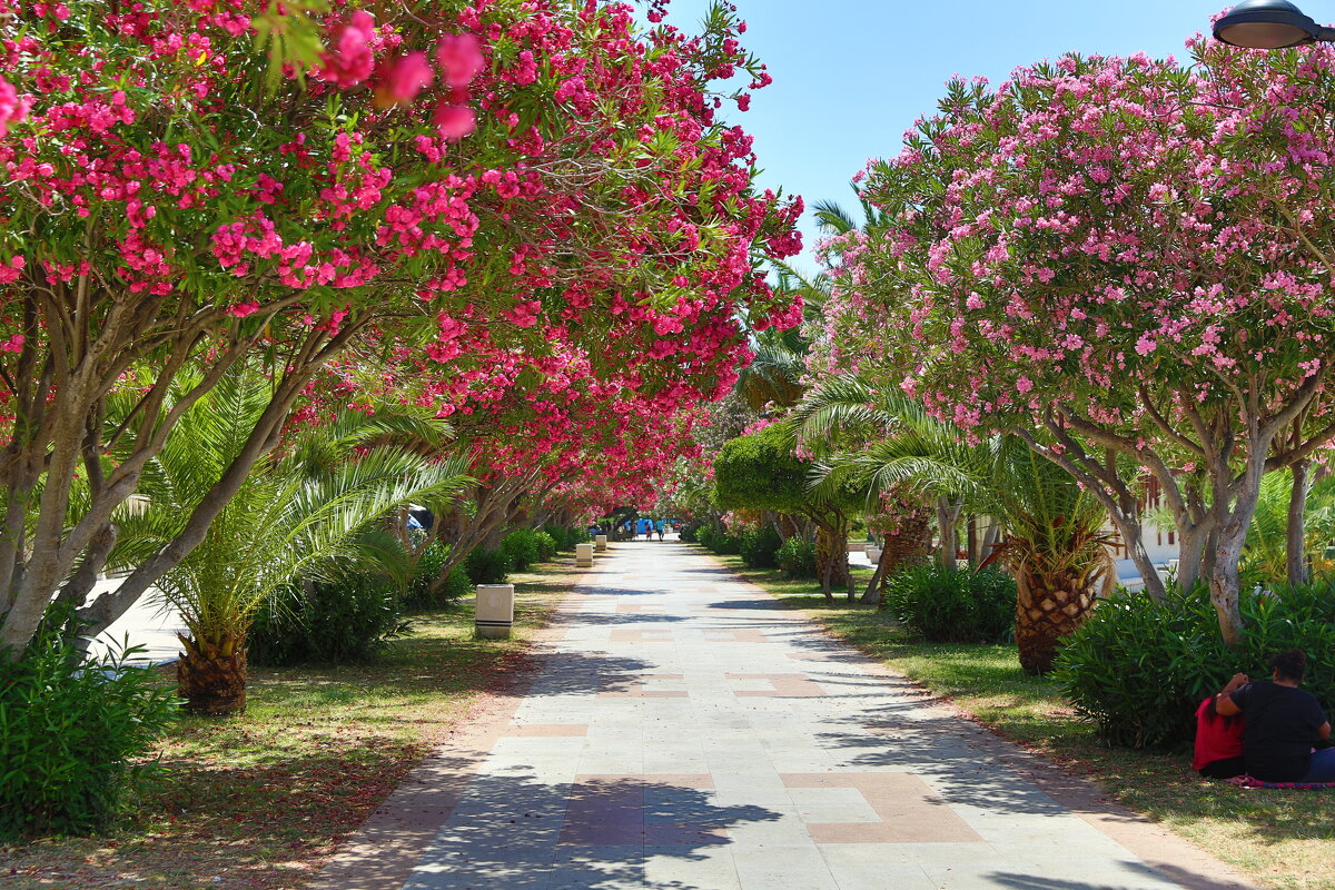 город Бар - Евгений +