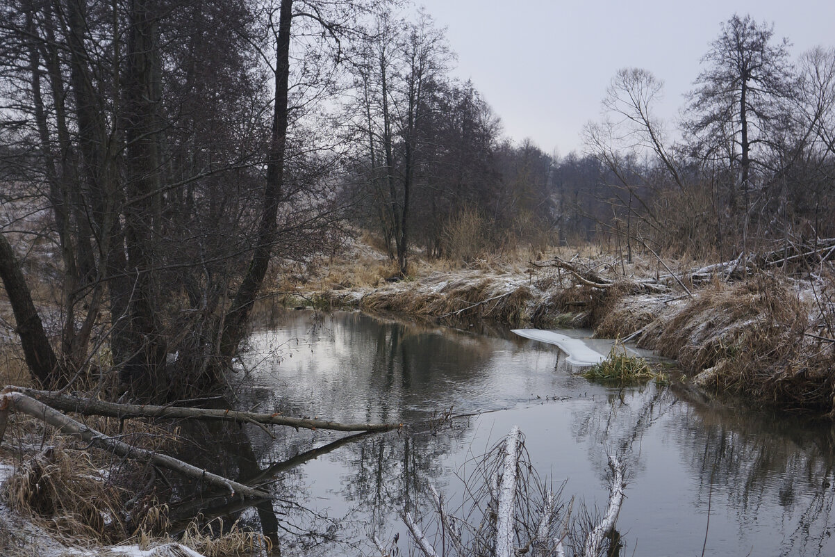 Не белая зима - sorovey Sol Не белая зима - sorovey Sol