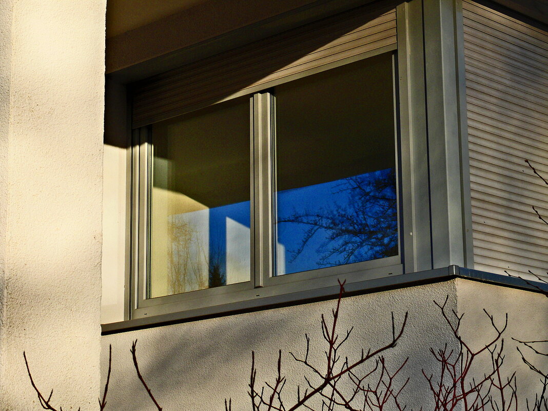 Фаинген 58 - Алексей Кузнецов Фаинген 58 - Алексей Кузнецов