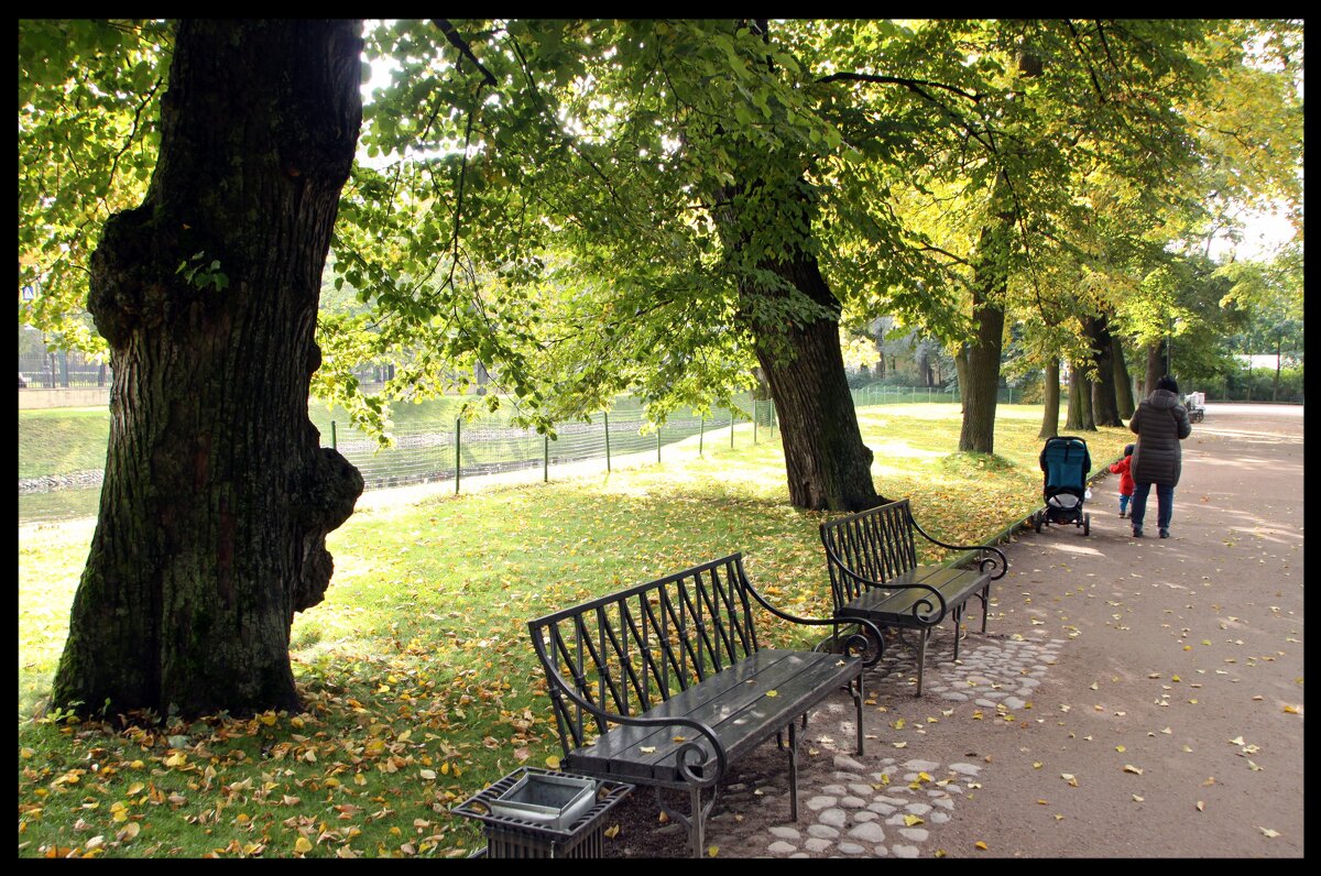 В парке,,, - Алексей Дмитриев В парке,,, - Алексей Дмитриев