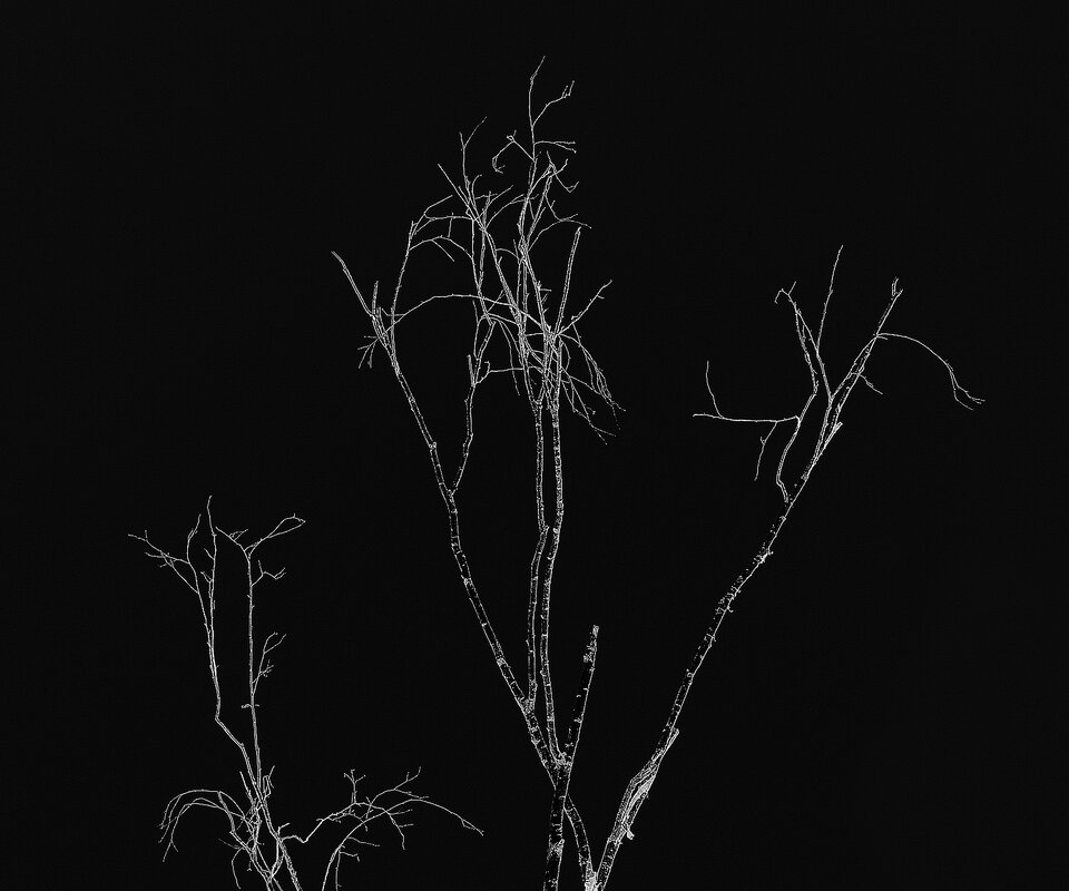 Зима - Леонид leo