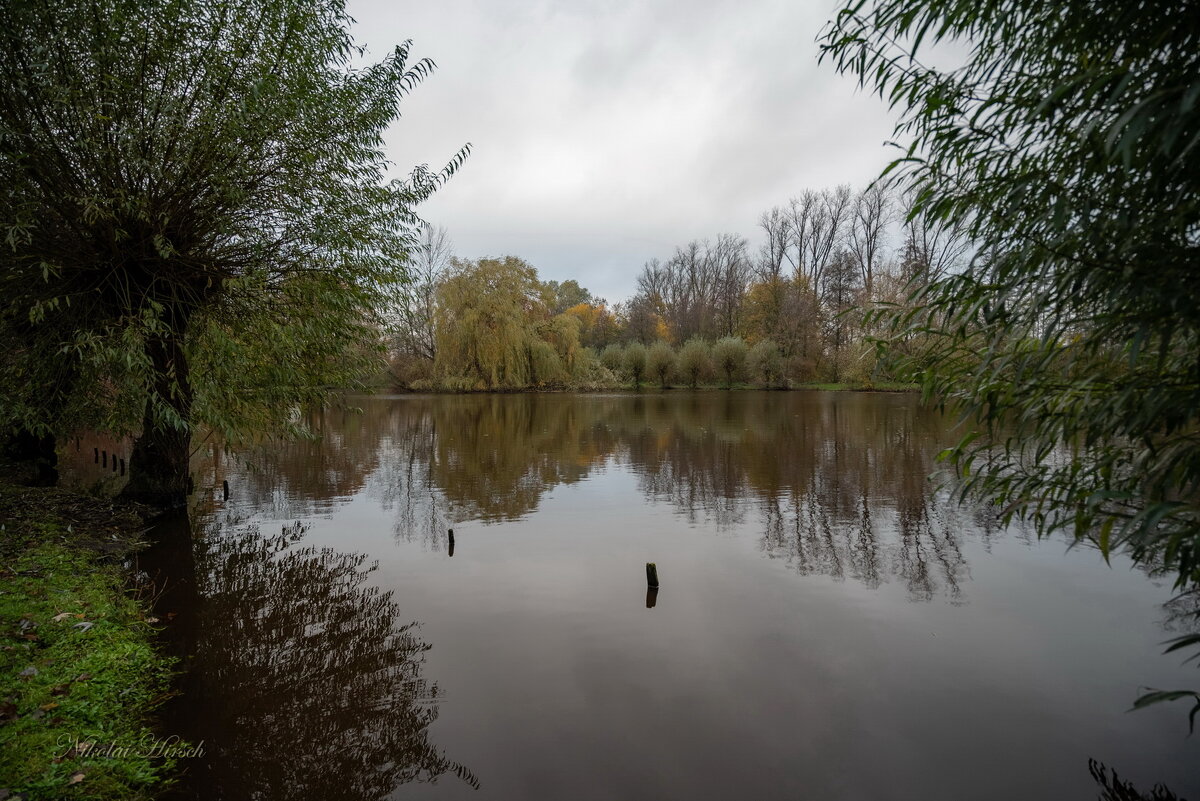 Вокруг пруда... - Николай Гирш Вокруг пруда... - Николай Гирш