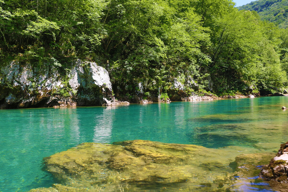 * - Евгений +