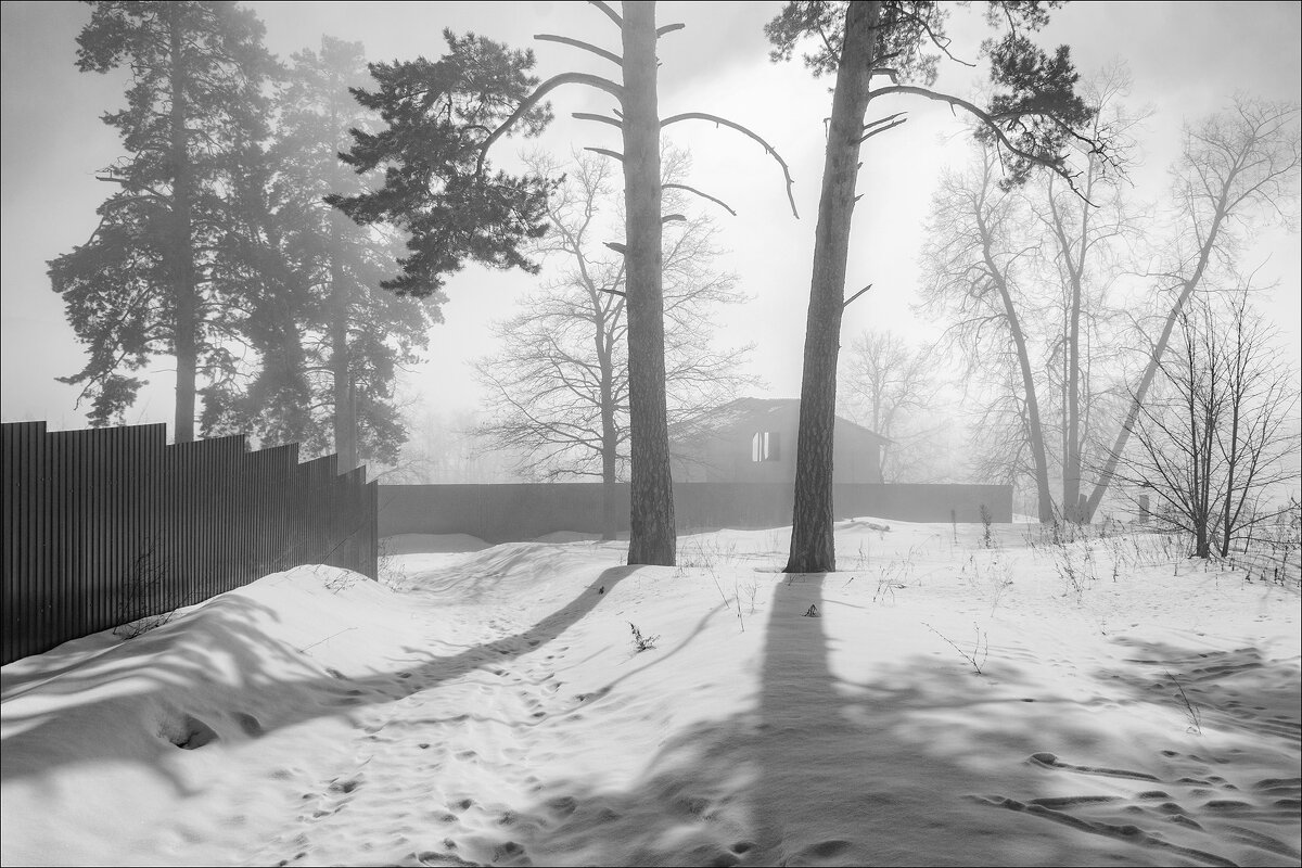 Март. - Елена Демидова Март. - Елена Демидова