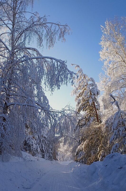 Снежно - Пасечник 