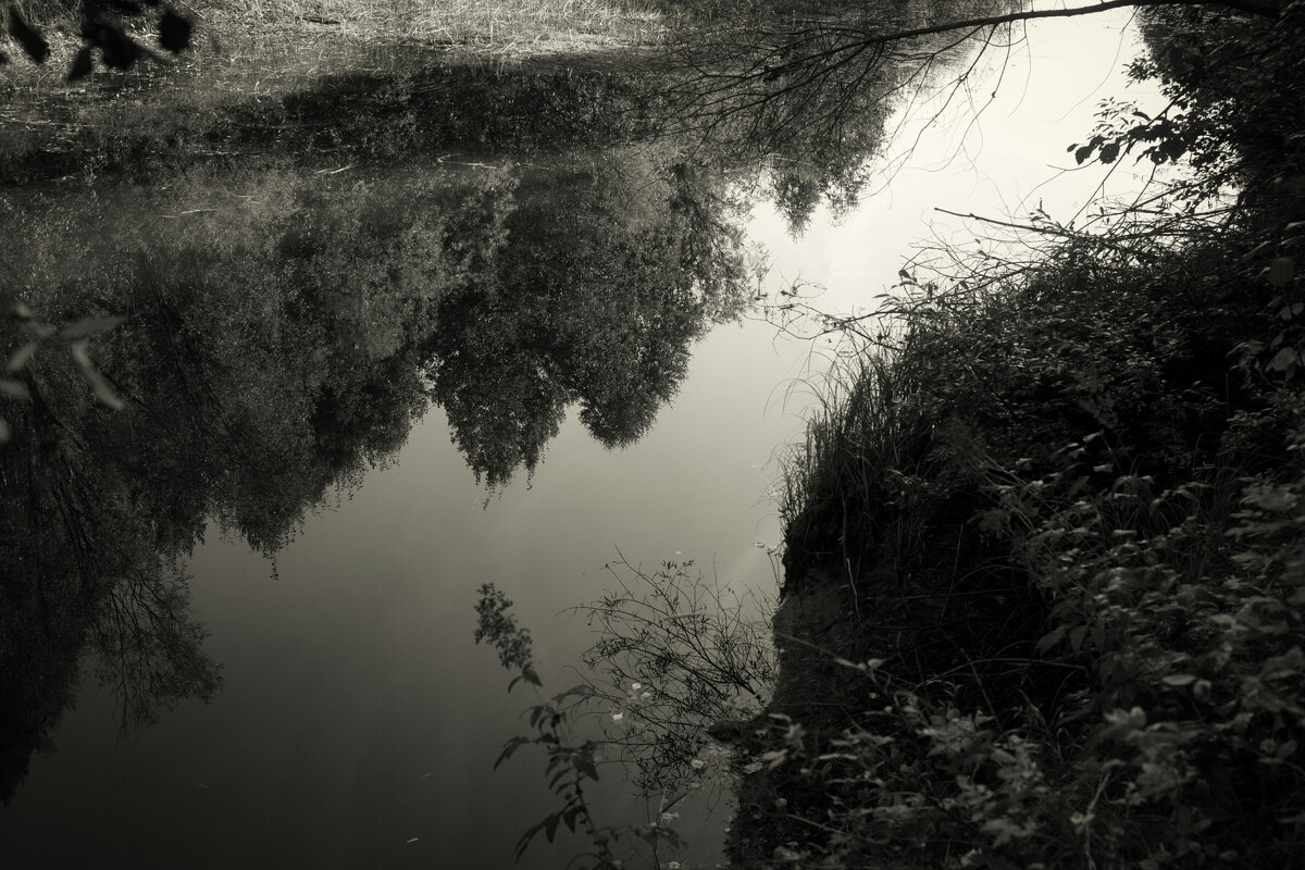 Название отсутствует - Денис Безногов Название отсутствует - Денис Безногов