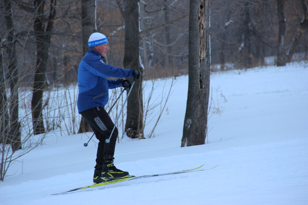 Зима. - Венера Чуйкова