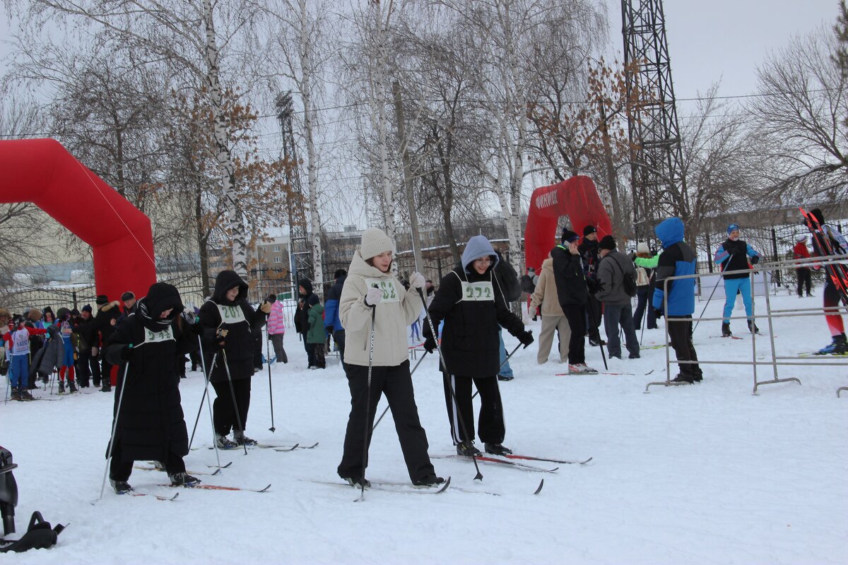 Зима. - Венера Чуйкова