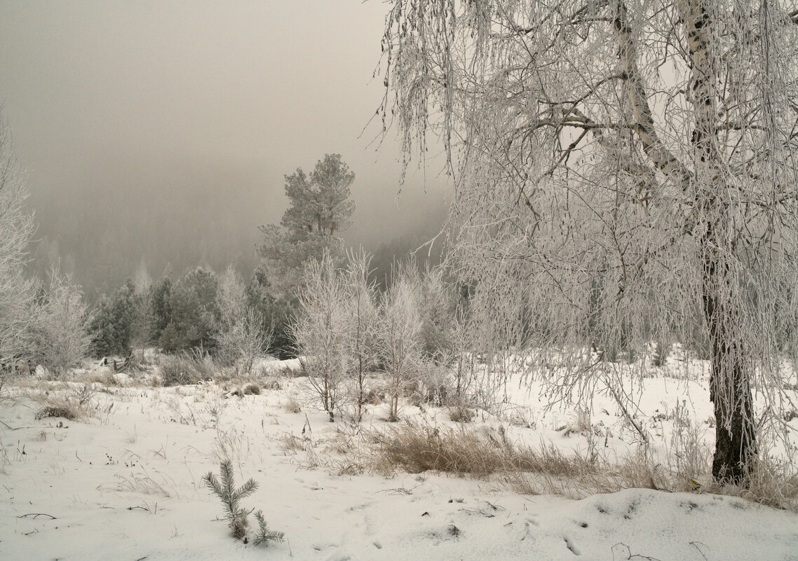 Холодный туман зимы - Сергей Шаврин Холодный туман зимы - Сергей Шаврин