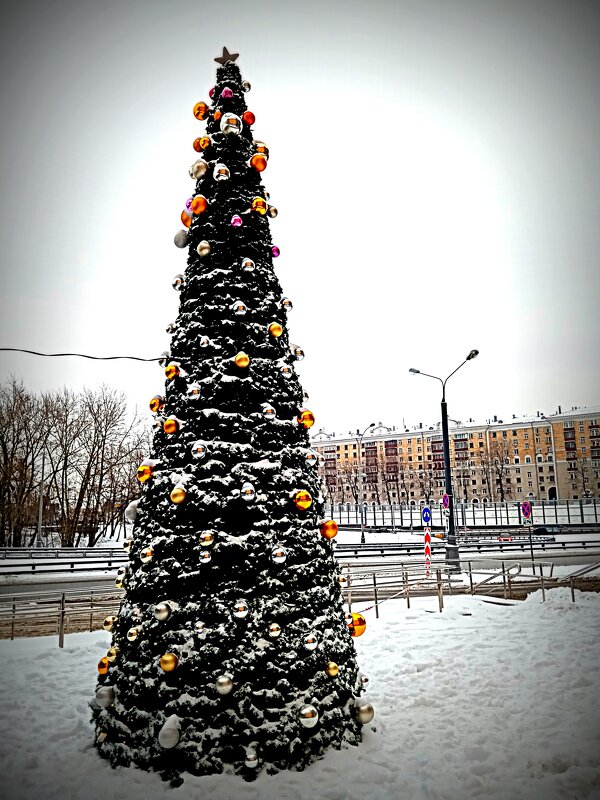 Москва новогодняя. - Владимир Драгунский