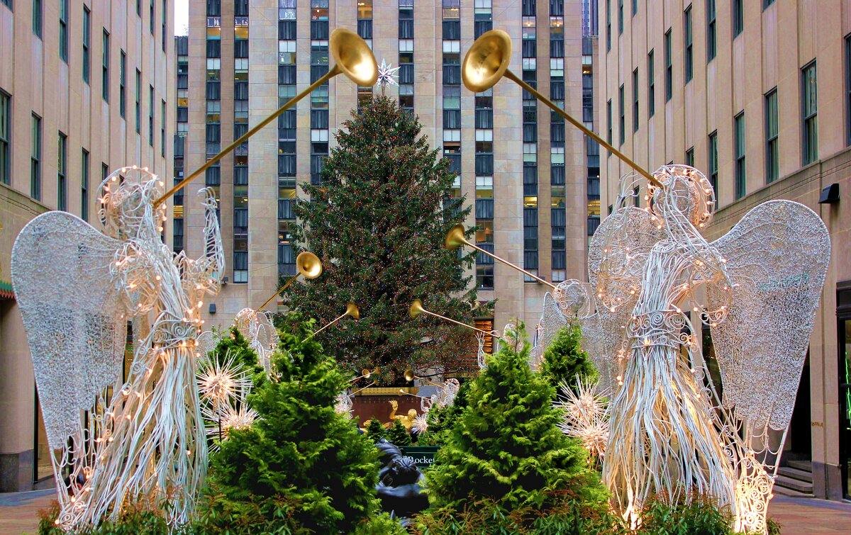 Ангелы трубят - Владимир Соколов (svladmir) Ангелы трубят - Владимир Соколов (svladmir)