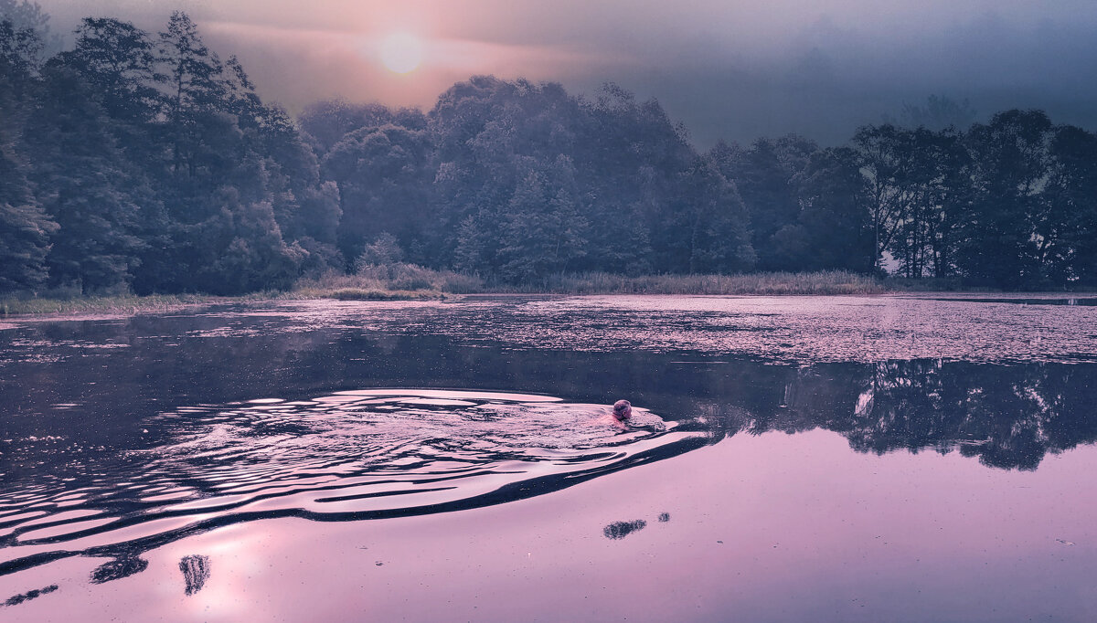 В сереневом тумане. - Тамара Бучарская