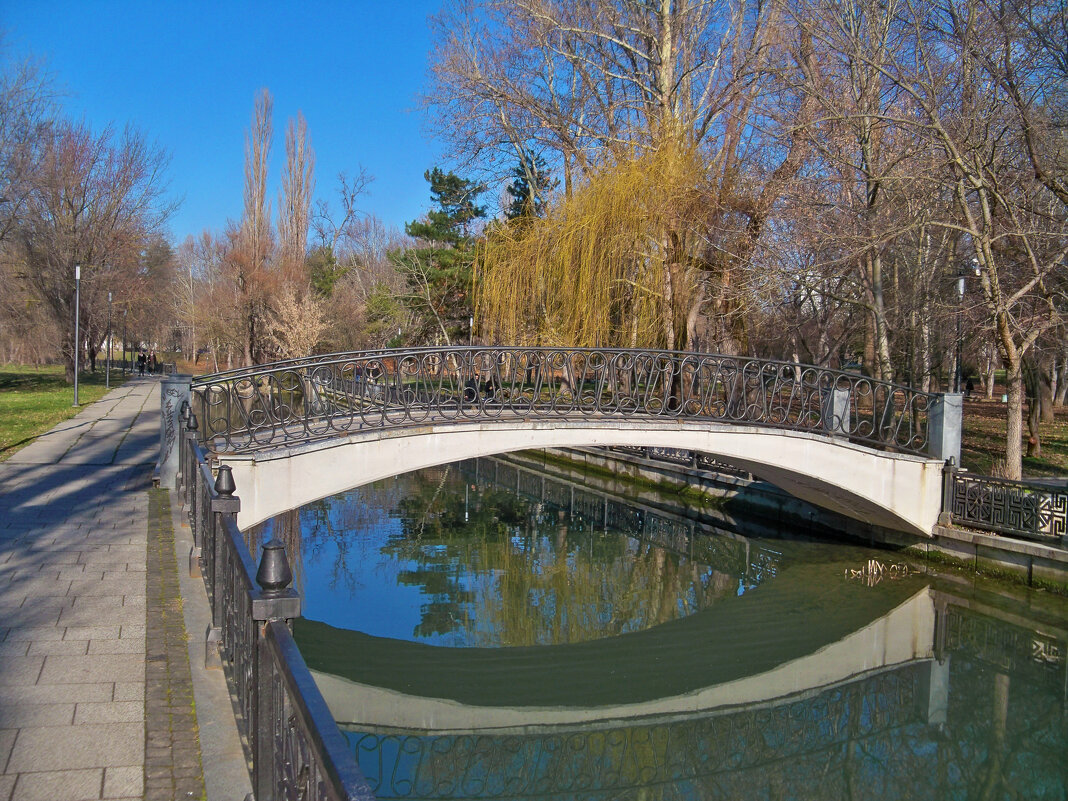 Природа Крыма в январе - Валентин Семчишин Природа Крыма в январе - Валентин Семчишин