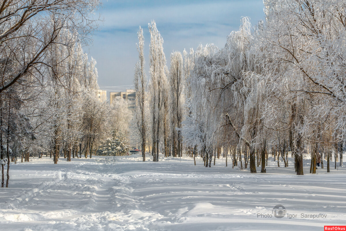 На белом покрывале января - Игорь Сарапулов На белом покрывале января - Игорь Сарапулов