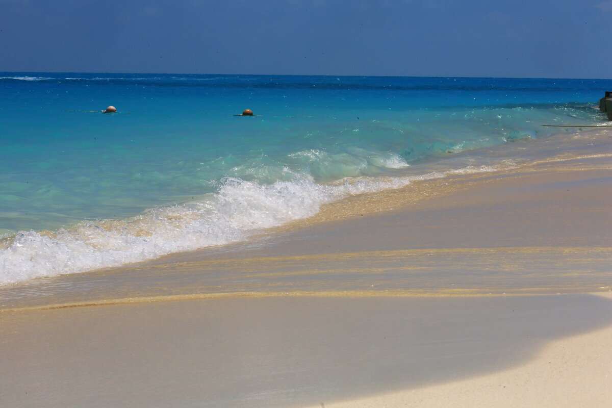 * - Евгений +