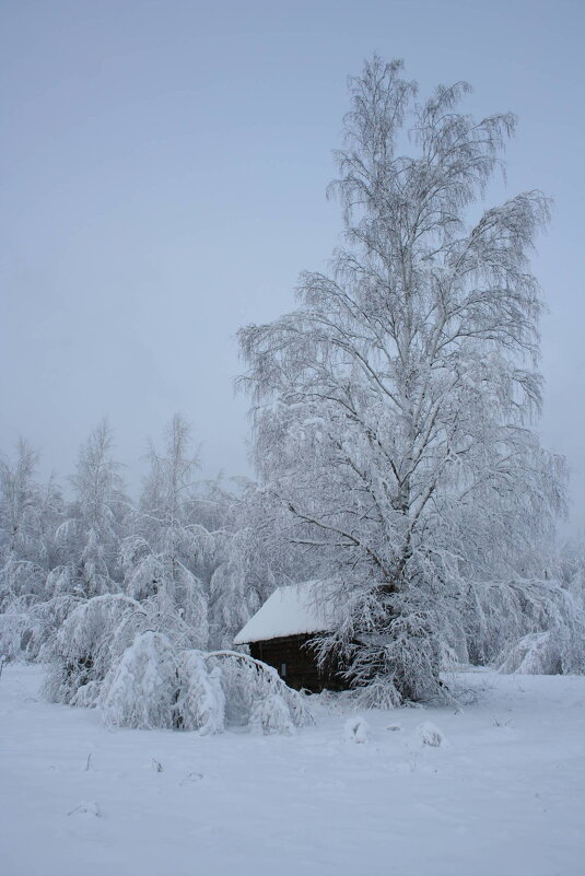 Где то, там где есть зима... - Вячеслав Владимирович