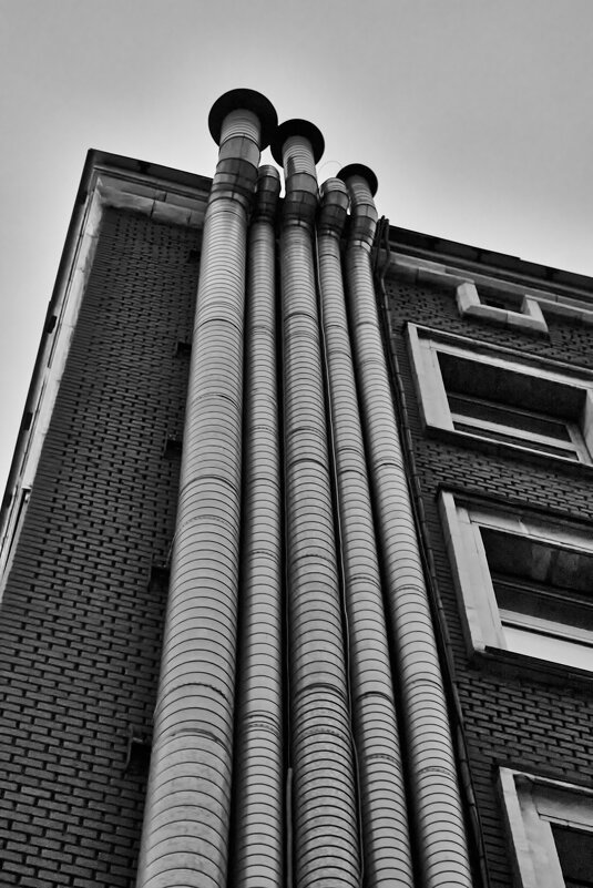 дыхательные каналы... - emelka2 дыхательные каналы... - emelka2