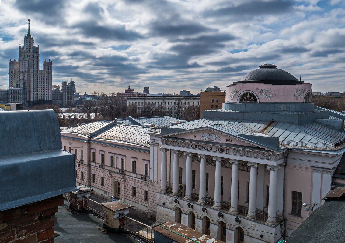 Опекунский совет на Солянке - Наталья Rosenwasser Опекунский совет на Солянке - Наталья Rosenwasser