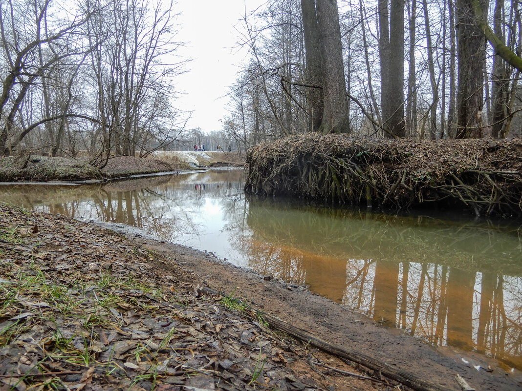 вода корни моет - Сергей Лындин вода корни моет - Сергей Лындин