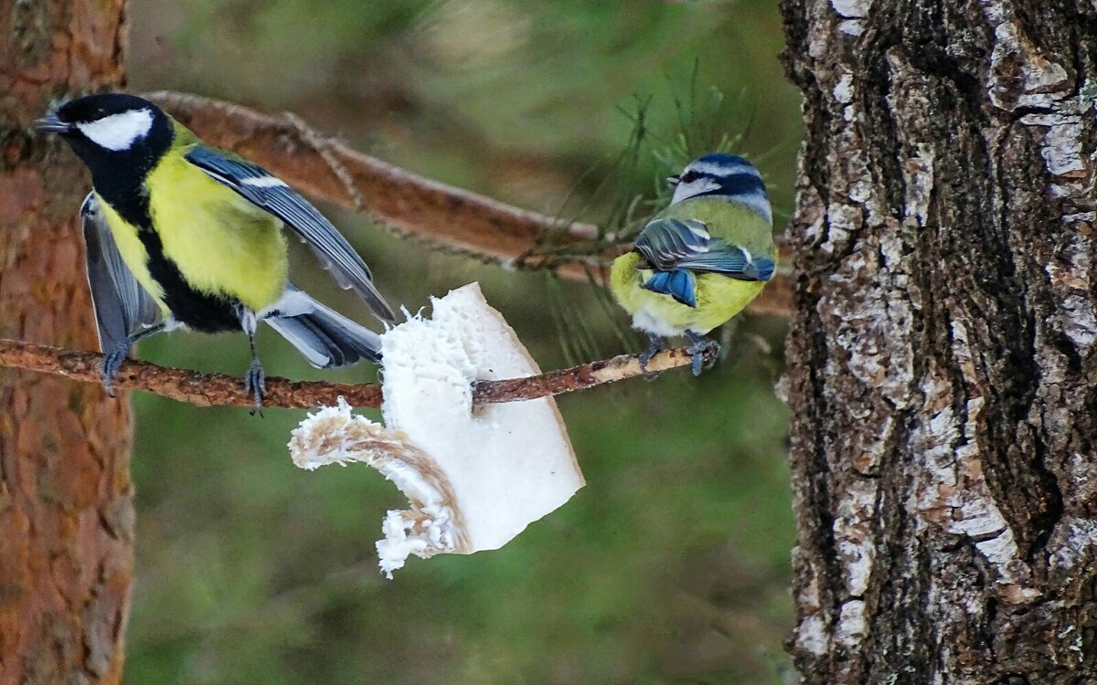 Не сошлись характерами. - Милешкин Владимир Алексеевич Не сошлись характерами. - Милешкин Владимир Алексеевич